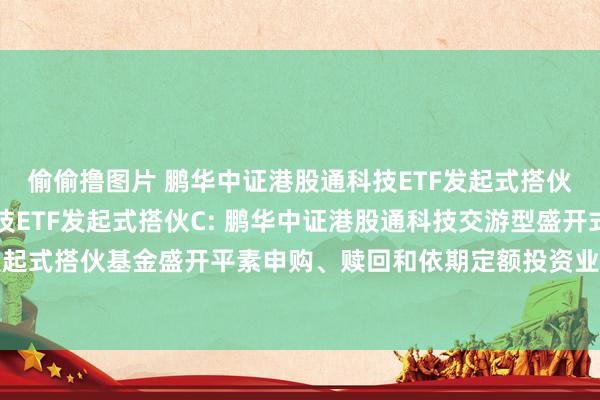 偷偷撸图片 鹏华中证港股通科技ETF发起式搭伙A,鹏华中证港股通科技ETF发起式搭伙C: 鹏华中证港股通科技交游型盛开式指数证券投资基金发起式搭伙基金盛开平素申购、赎回和依期定额投资业务及调养单笔最低赎回份额和账户最低份额余额戒指的公告