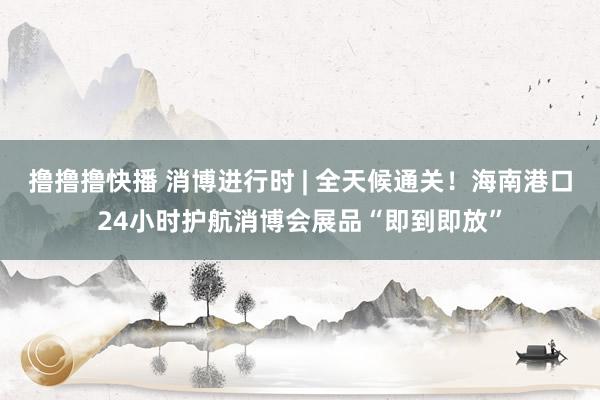 撸撸撸快播 消博进行时 | 全天候通关！海南港口24小时护航消博会展品“即到即放”