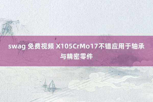 swag 免费视频 X105CrMo17不错应用于轴承与精密零件
