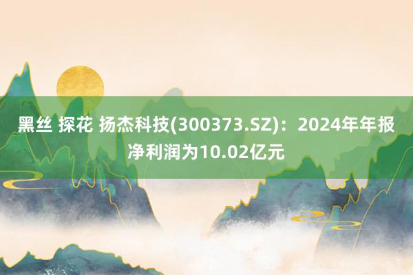 黑丝 探花 扬杰科技(300373.SZ)：2024年年报净利润为10.02亿元
