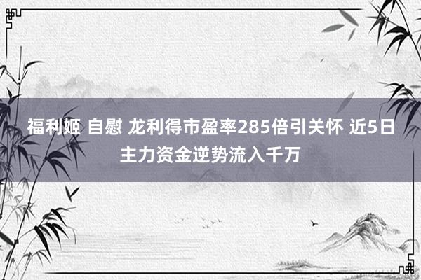 福利姬 自慰 龙利得市盈率285倍引关怀 近5日主力资金逆势流入千万