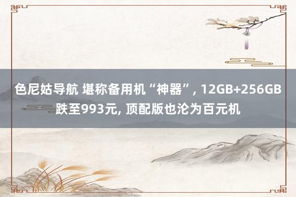 色尼姑导航 堪称备用机“神器”， 12GB+256GB跌至993元， 顶配版也沦为百元机