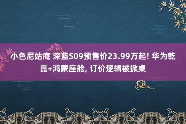 小色尼姑庵 深蓝S09预售价23.99万起! 华为乾崑+鸿蒙座舱， 订价逻辑被掀桌