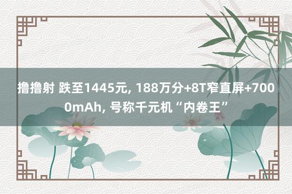 撸撸射 跌至1445元， 188万分+8T窄直屏+7000mAh， 号称千元机“内卷王”
