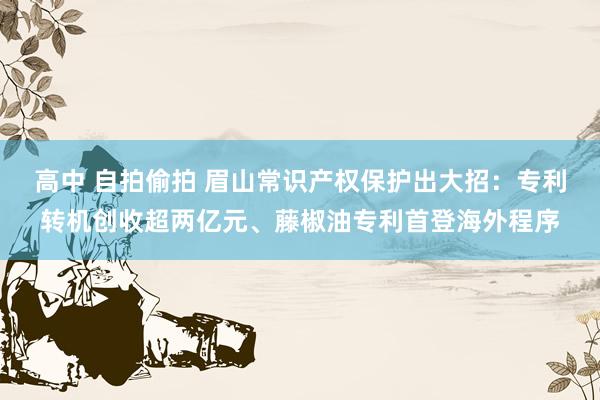高中 自拍偷拍 眉山常识产权保护出大招：专利转机创收超两亿元、藤椒油专利首登海外程序