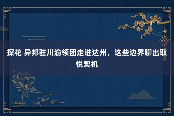 探花 异邦驻川渝领团走进达州，这些边界聊出取悦契机