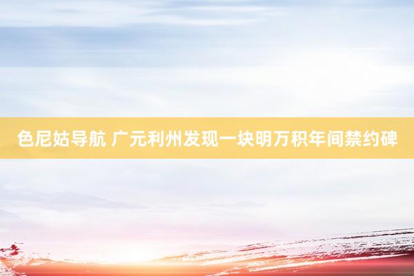色尼姑导航 广元利州发现一块明万积年间禁约碑