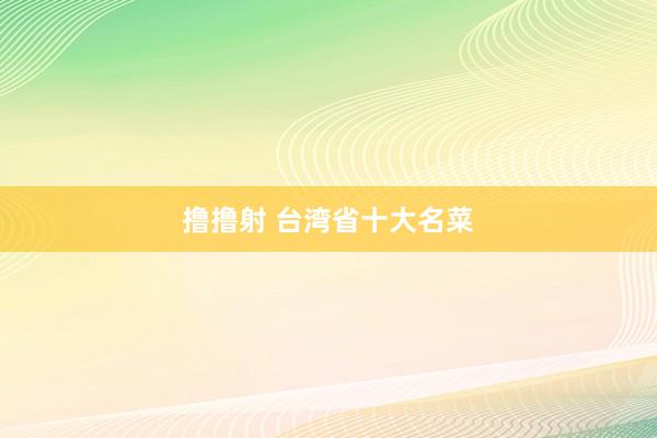 撸撸射 台湾省十大名菜