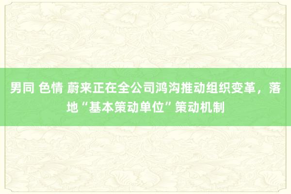 男同 色情 蔚来正在全公司鸿沟推动组织变革，落地“基本策动单位”策动机制