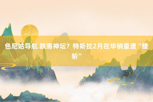 色尼姑导航 跌落神坛？特斯拉2月在华销量遭“腰斩”